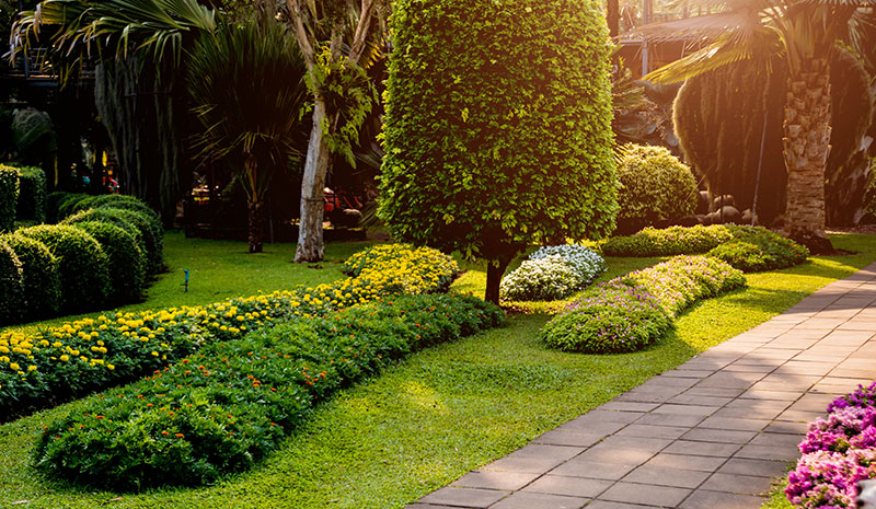 luxurious landscaping